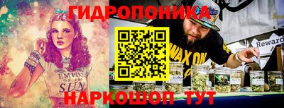 индика Чебаркуль