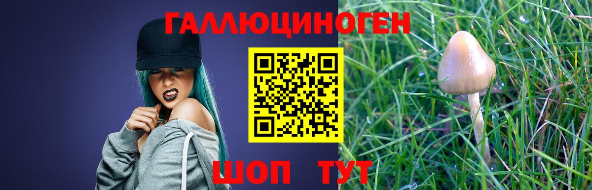 Белгород  Галлюциногенные грибы Magic Shrooms  Вход с VPN 